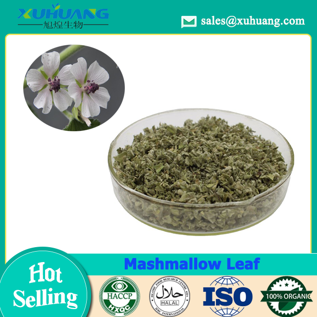 Mashmallow Leaf -Raw 담배 재료
