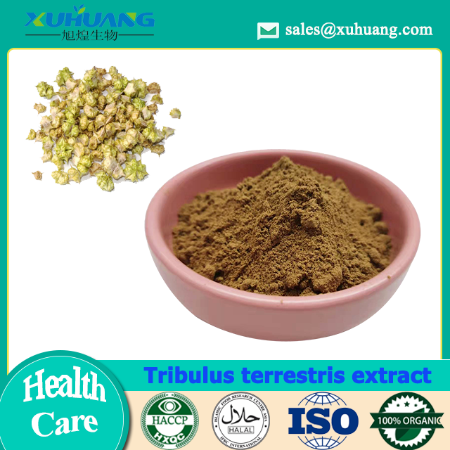 순수한 Tribulus terrestris 추출물
